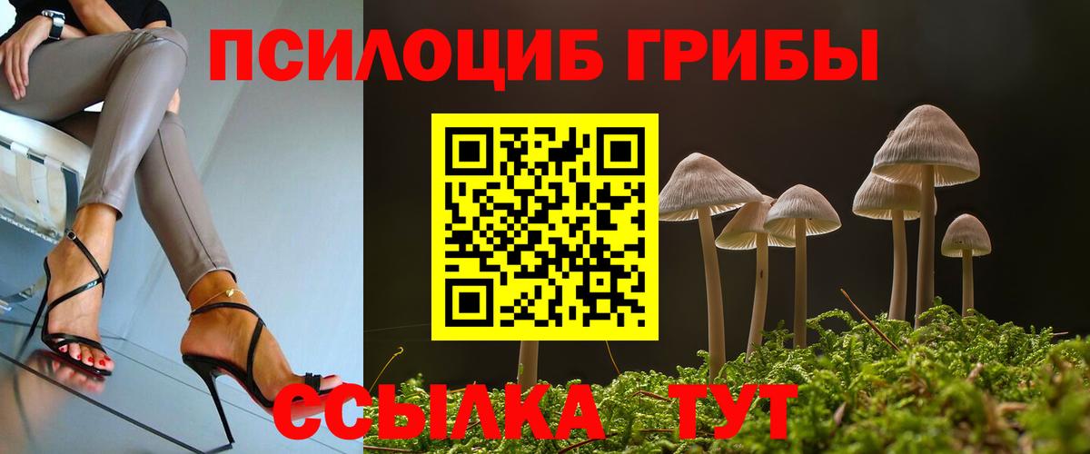 Спасск-Дальний  Галлюциногенные грибы Psilocybine cubensis  закладка  Вход с VPN 