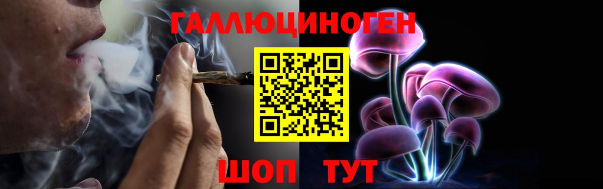 Псилоцибиновые грибы прущие грибы Спасск-Дальний